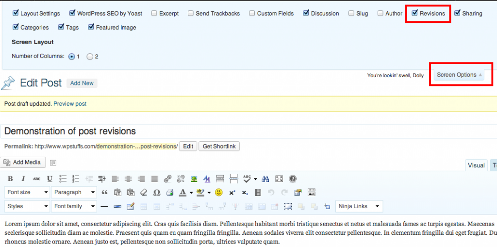 post-revisions-screen-options