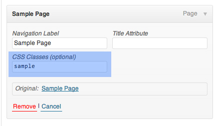 Adding Custom CSS Class name 