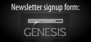 genesis-newsletter-optin-form
