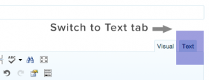 switch-to-text-wordpress