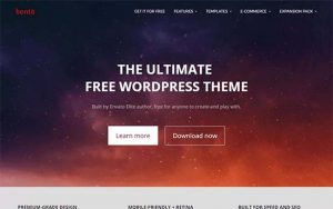 wordpress-theme